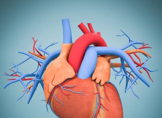 Continuer la mobilisation