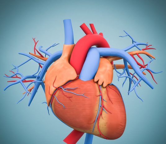 Continuer la mobilisation