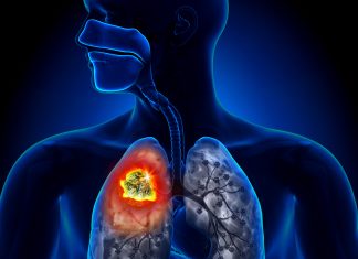 Un réseau scientifique et médical à préserver