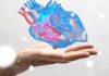 Innovations majeures pour garder son coeur