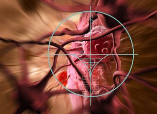 Cancer, un nouveau champ des possibles s’ouvre