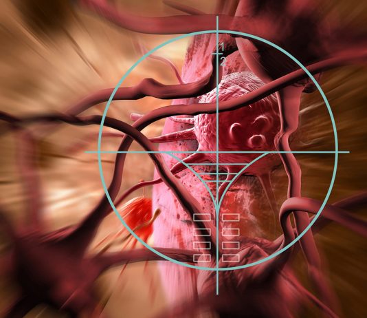 Cancer, un nouveau champ des possibles s’ouvre