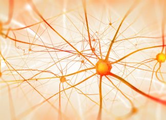 De nouveaux espoirs contre la sclérose en plaques