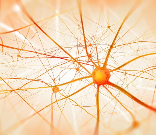 De nouveaux espoirs contre la sclérose en plaques