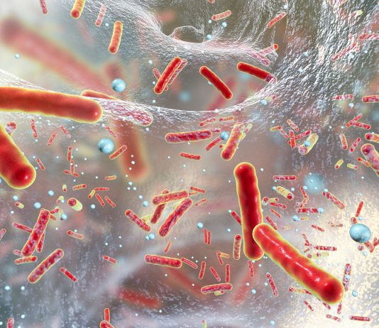 Il faut sauver les antibiotiques