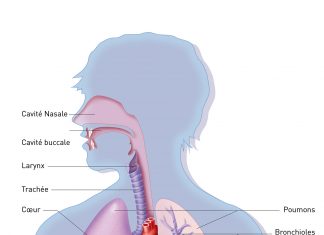 La pneumologie face à de nouveaux défis