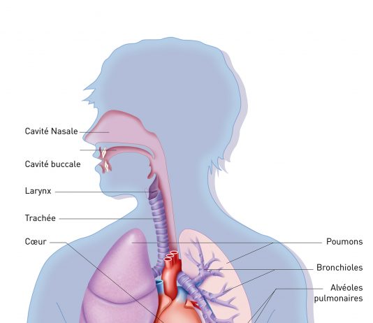 La pneumologie face à de nouveaux défis