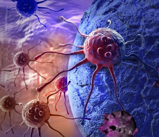 La recherche avance à grands pas