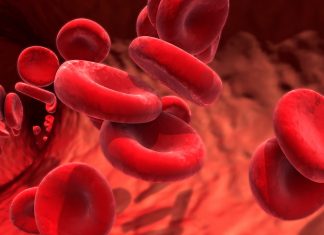 L’hémophilie entre innovations et attentes