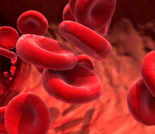 L’hémophilie entre innovations et attentes