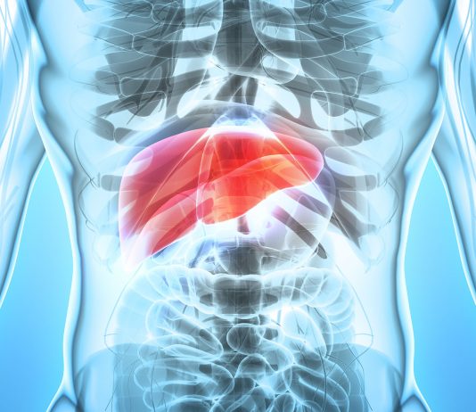 Les maladies du foie, des virus au syndrome métabolique