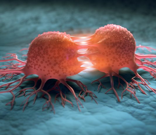 Congrès virtuel, avancées réelles