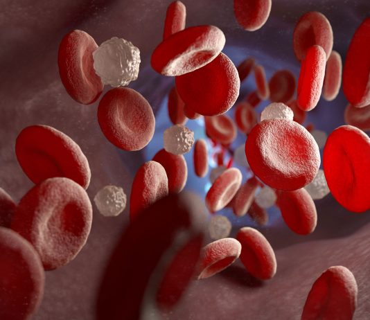 L’INNOVATION AU BENEFICE DES DIFFERENTES SPECIALITES D’HEMATOLOGIE