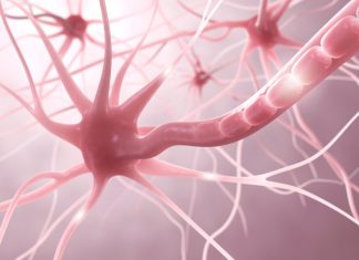 Sclérose en plaques : de l’espoir, grâce à la recherche