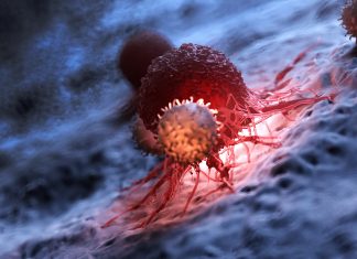 L’innovation mène les patients vers la guérison