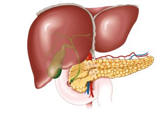 Cancer des voies biliaires : les innovations récentes suscitent de nouveaux espoirs