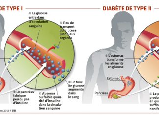 Encourager l’autonomie