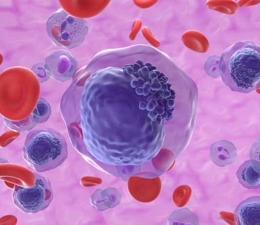 Hémopathies, le nouvel âge des thérapies ciblées