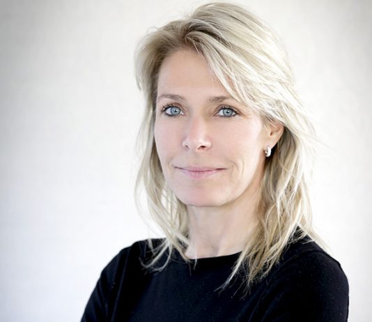 Nouvelles approches thérapeutiques pour cibler et éliminer les cellules cancéreuses