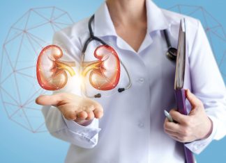 Comment préserver sa santé rénale