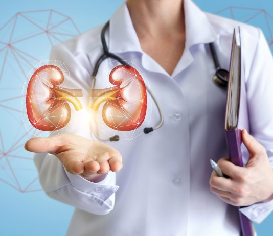 Comment préserver sa santé rénale