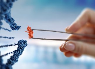 Innovation santé : les conditions du succès français