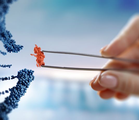 Innovation santé : les conditions du succès français