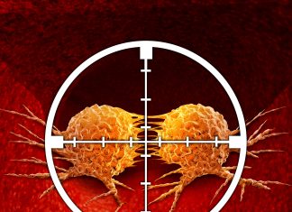 Cancer : des progrès pour de nouveaux espoirs