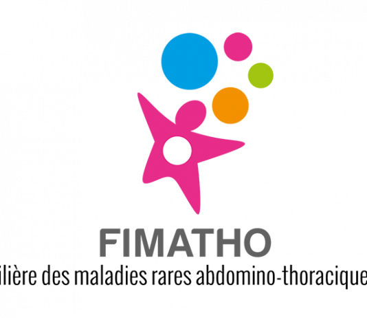 Fimatho : de la création au rayonnement international d’une filière