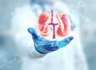 Maladie rénale chronique : un patrimoine santé à préserver