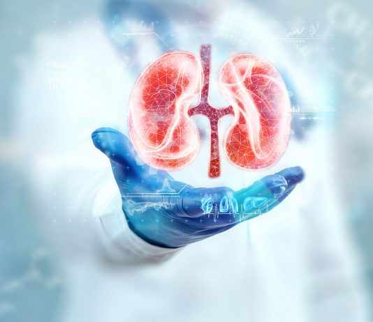 Maladie rénale chronique : un patrimoine santé à préserver