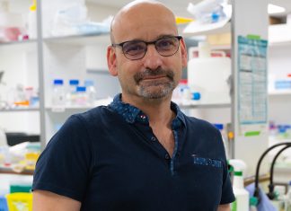 Maladie d’Alzheimer : la piste génétique