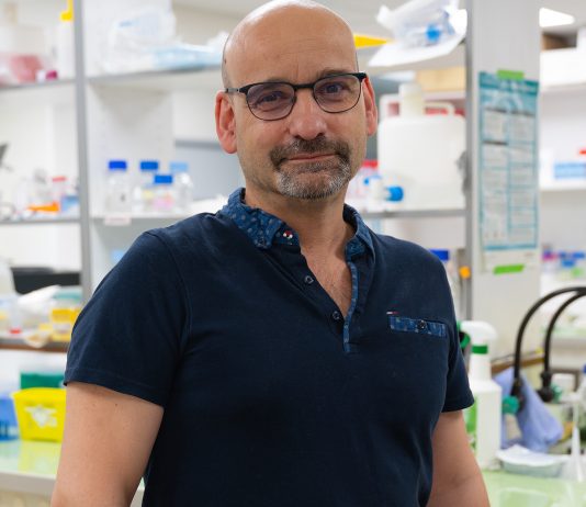 Maladie d’Alzheimer : la piste génétique