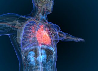 Cardiologie, la mère des batailles