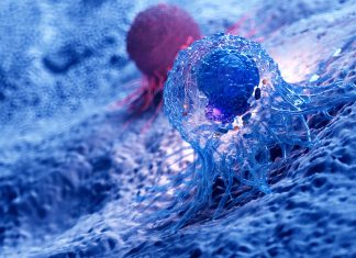 Cancer : le combat sur tous les fronts