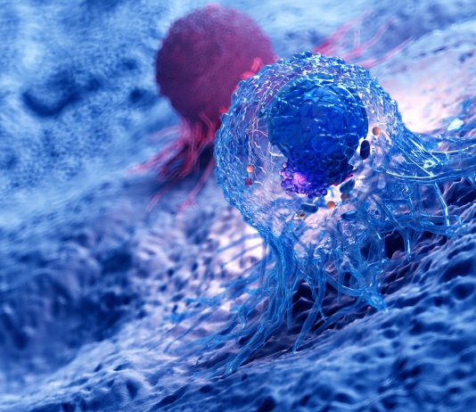 Cancer : le combat sur tous les fronts