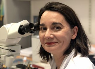 Cancer du sein : signatures génomiques, toujours non remboursées