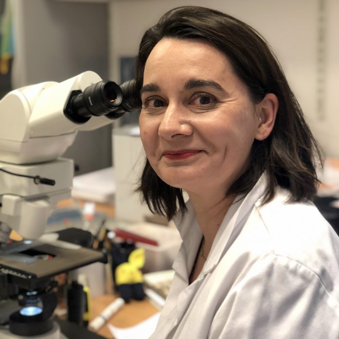 Photo Dr LacroixTriki (002)