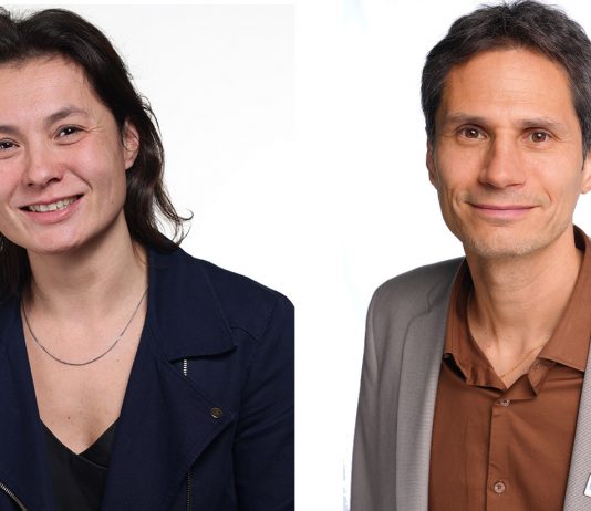 Fibrillation atriale : bien traiter pour préserver le rythme cardiaque Photo l.champ rigot