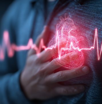 Cardiologie : accélérer le progrès médical Photo une adobestock 1569052193