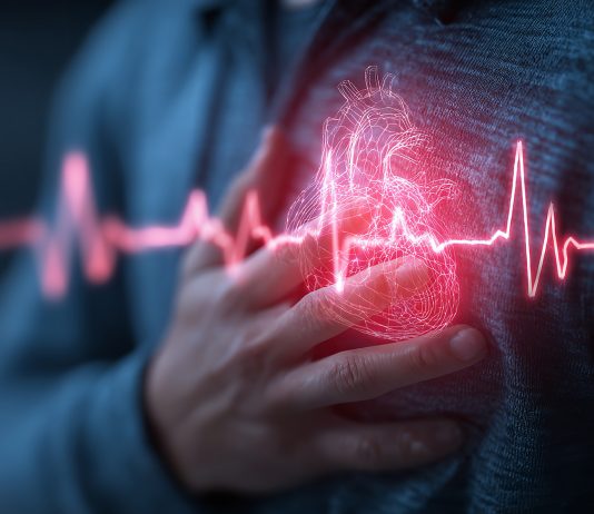 Cardiologie : accélérer le progrès médical Photo une adobestock 1569052193