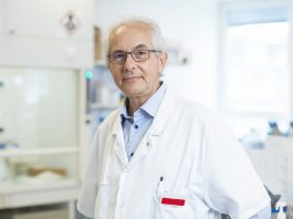 Arthrose : des pistes prometteuses