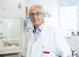 Arthrose : des pistes prometteuses