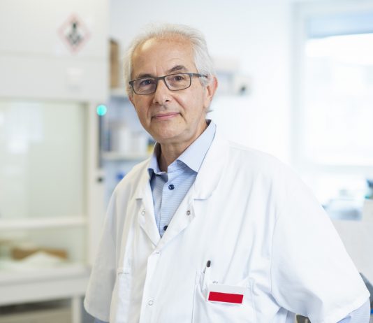 Arthrose : des pistes prometteuses