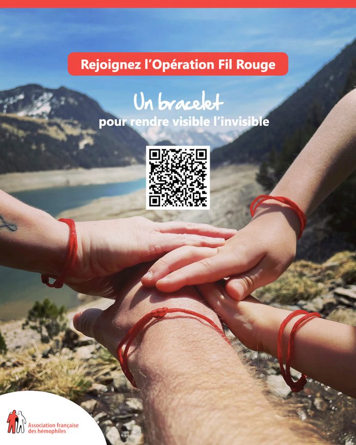 Photo AFH Visuel_Lemonde 001