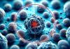Cancer : la guérison en ligne de mire